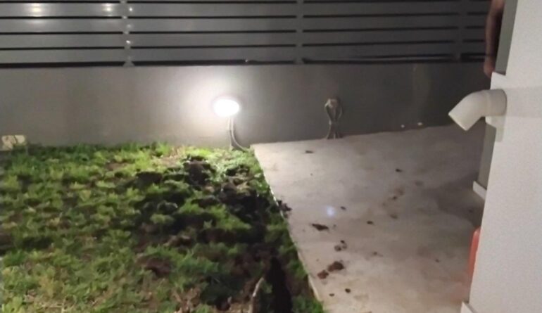 εικόνα_Viber_2025-08-10_21-55-16-027 εικόνα_Viber_2025-08-10_21-55-16-027