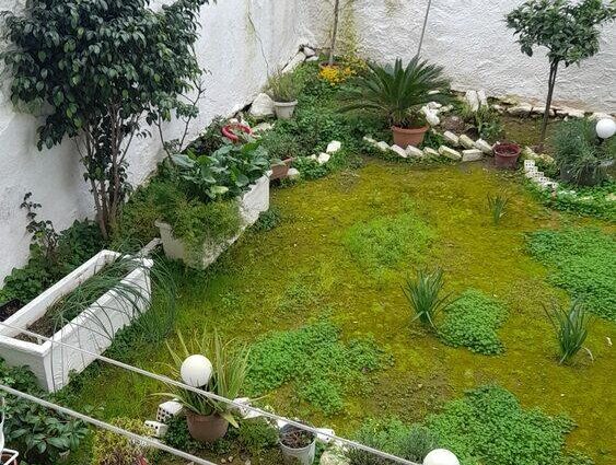 IMG-341a504fc530020dee9b71b336872bdf-V IMG-341a504fc530020dee9b71b336872bdf-V