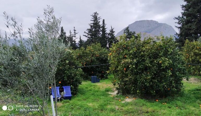 IMG_20220213_135709 IMG_20220213_135709