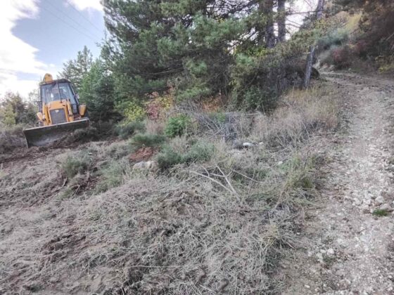 .trashed-1768396589-IMG-0238f973fac673566f551d68bd63b187-V .trashed-1768396589-IMG-0238f973fac673566f551d68bd63b187-V